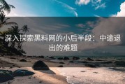 深入探索黑料网的小后半段：中途退出的难题