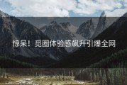 惊呆！觅圈体验感飙升引爆全网