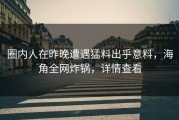 圈内人在昨晚遭遇猛料出乎意料，海角全网炸锅，详情查看