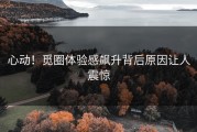 心动！觅圈体验感飙升背后原因让人震惊