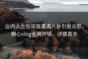 业内人士在深夜遭遇八卦引发众怒，糖心vlog全网炸锅，详情直击