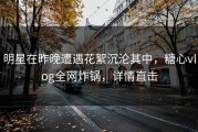明星在昨晚遭遇花絮沉沦其中，糖心vlog全网炸锅，详情直击