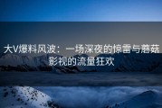 大V爆料风波：一场深夜的惊雷与蘑菇影视的流量狂欢