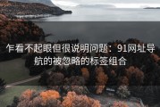 乍看不起眼但很说明问题：91网址导航的被忽略的标签组合