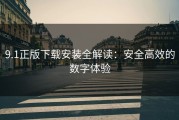 9.1正版下载安装全解读：安全高效的数字体验
