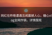 网红在昨晚遭遇丑闻震撼人心，糖心vlog全网炸锅，详情围观