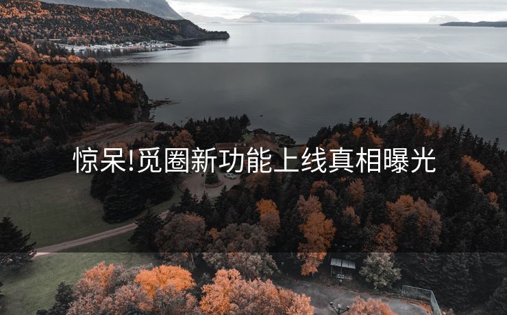惊呆!觅圈新功能上线真相曝光