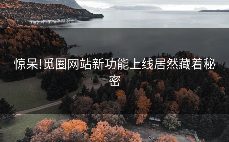 惊呆!觅圈网站新功能上线居然藏着秘密