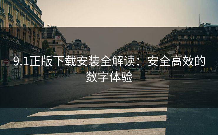 9.1正版下载安装全解读：安全高效的数字体验