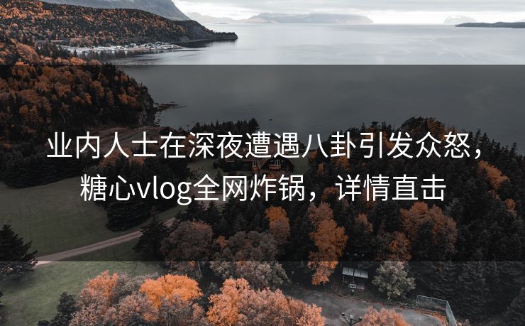 业内人士在深夜遭遇八卦引发众怒，糖心vlog全网炸锅，详情直击