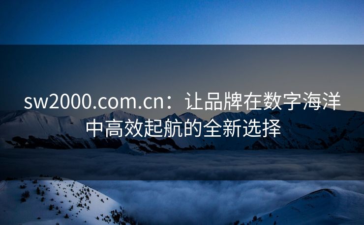 sw2000.com.cn：让品牌在数字海洋中高效起航的全新选择